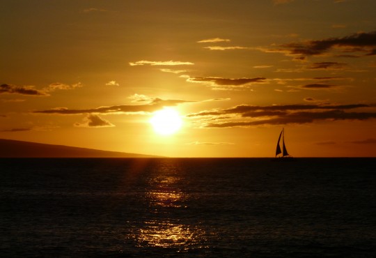 Sunset sailboat